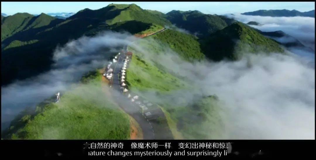 救援青龙